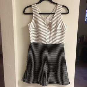 Dress-New with tags